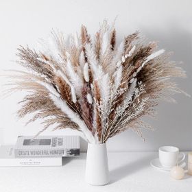 Phragmites Dried Flowers Bouquet Long Bouquet Reed Dried Natural Dried Pampa Grass Bouquet Home Wedding Living Room Decoration (Color: 80pcs  No vase)