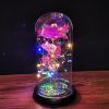 2023 LED Enchanted Galaxy Rose Eternal Rose Forever Rose In Glass Valentines Day Gift for Girlfriend Christmas Wedding Birthday