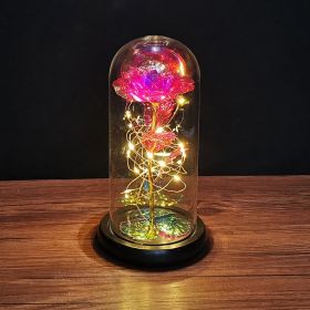 2023 LED Enchanted Galaxy Rose Eternal Rose Forever Rose In Glass Valentines Day Gift for Girlfriend Christmas Wedding Birthday (Color: Pink - Warm light)