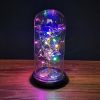 2023 LED Enchanted Galaxy Rose Eternal Rose Forever Rose In Glass Valentines Day Gift for Girlfriend Christmas Wedding Birthday