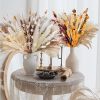 109pcs Natural Dried Pampa Grass Bouquet Large Phragmites Dried Flower Boho Home Decor Bouquet Room Holiday Wedding Party Decor