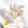 60/62/76/80/85/100pcs Boho Pampas Grass Bouquet Home Decor Floral Dried Flowers Wedding Arrangements Natural Reed Bunny Tails