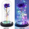 2023 LED Enchanted Galaxy Rose Eternal Rose Forever Rose In Glass Valentines Day Gift for Girlfriend Christmas Wedding Birthday