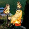 Solar Owl Garden Light Owl Solar Lamp Parrot Lawn Light Solar Lights Outdoor Solar Light Animal Pixie Lawn Lamp Waterproof Decor