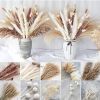 109pcs Natural Dried Pampa Grass Bouquet Large Phragmites Dried Flower Boho Home Decor Bouquet Room Holiday Wedding Party Decor